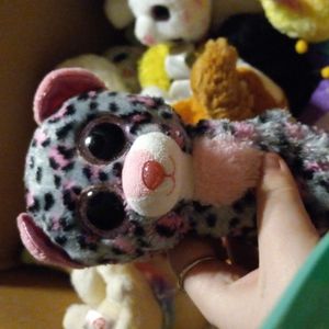 Leopard pack 2015,2021